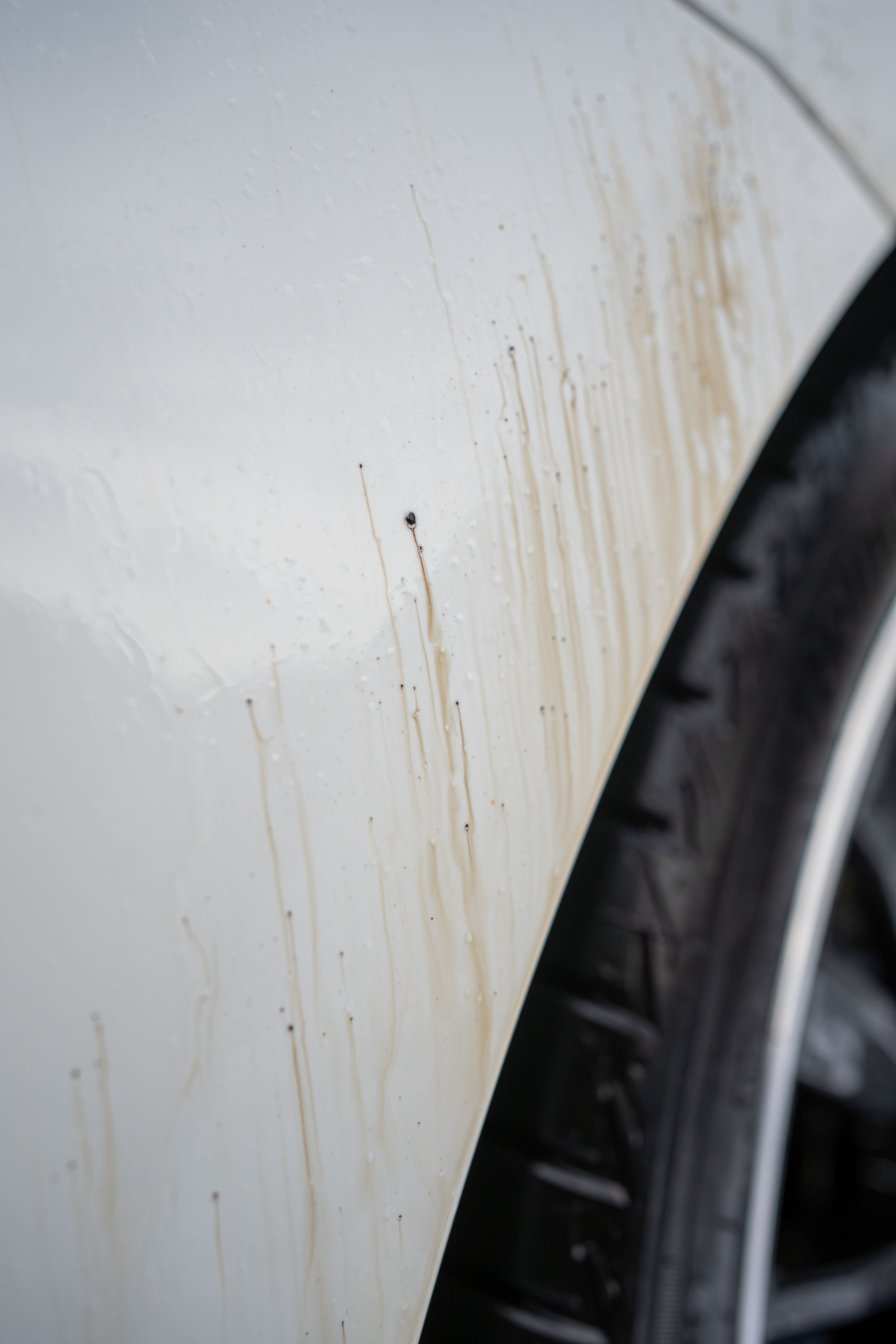 SD Collections Tar & Glue Remover – The Best Way to Remove Tar, Adhesive & Road Contamination